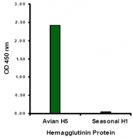AM20123PU-N - Influenza A H5N1