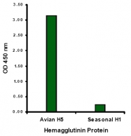 AM20132PU-N - Influenza A H5N1