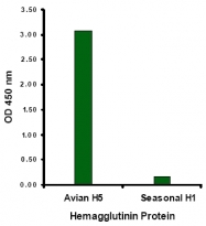 AM20133PU-N - Influenza A H5N1