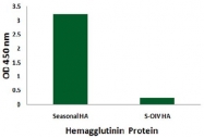 AM20156PU-N - Influenza A H1N1