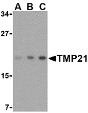 AP30920PU-N - TMED10 / TMP21