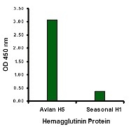 AP30105PU-N - Influenza A H5N1