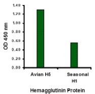 AP30106PU-N - Influenza A H5N1