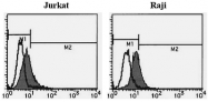 SM2004A - CD222 / IGF2R