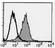 AM20199FC-N - PSMA / FOLH1