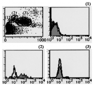 AM20201FC-N - CD163