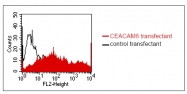 AM02001PU-N - CD66c / CEACAM6