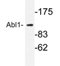 AP20962PU-N - ABL1