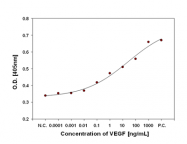 AR09726PU-L - VEGF-A