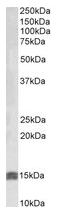 AP22391PU-N - Insulin-like growth factor I / IGF1