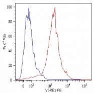 SM3129R - Vimentin