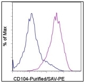 AM20454PU-N - CD104 / Integrin beta-4