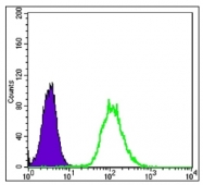 AM20469SU-N - Cytokeratin 7