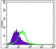 AM20477SU-N - Cytokeratin 15