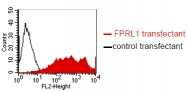 DM1216 - FPR2 / FPRL1