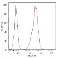 SM3006F - CD10 / Neprilysin