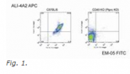 AM26024PU-N - CD45 / LCA