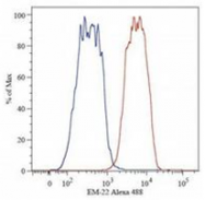 AM26027PU-N - Catenin beta-1
