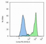 AM03114RP-N - PSMA / FOLH1