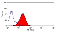 AM20860RP-N - CD178 / Fas Ligand