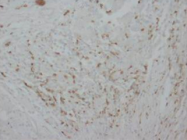 AP23272PU-N - Myeloperoxidase