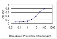 AM20997PU-N - Endophilin-B1