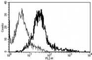 AM31198BT-N - CD178 / Fas Ligand