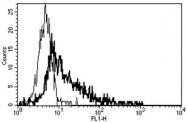 AM31198PU-N - CD178 / Fas Ligand