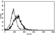AM31199BT-N - CD253 / TRAIL