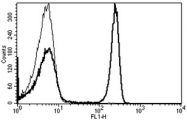 AM31216RP-N - CD4