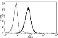 AM31220RP-N - CD10 / Neprilysin