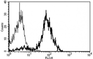 AM31241RP-N - CD86