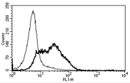 AM31359AF-N - CD82
