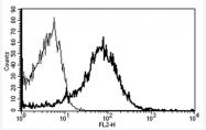 AM31359RP-N - CD82