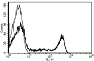 AM31251FC-N - CD8