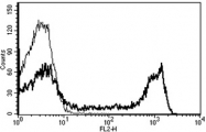 AM31251RP-N - CD8