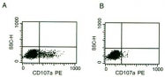 AM31284AF-N - CD335 / NKp46