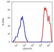 AM03058RP-N - CD36