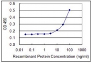 AM31765PU-N - Protein phosphatase 1A / PPM1A