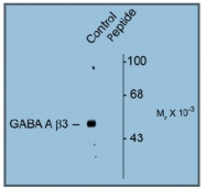 AP31633PU-N - GABRB3