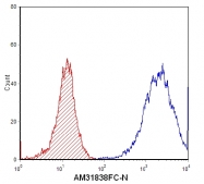 AM31838FC-N - S100A8 / Calgranulin-A / MRP8