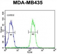 AP50015PU-N - ABCC3 / CMOAT2 / MRP3