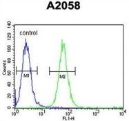 AP50029PU-N - ABHD14B