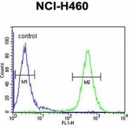 AP50046PU-N - ACAD10