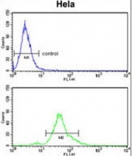 AP50056PU-N - ACP1 / LMW-PTPase