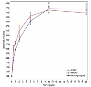 AR31055PU-L - FGF basic / FGF2