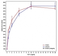 AR31056PU-N - FGF basic / FGF2