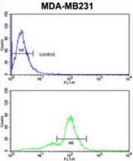 AP50058PU-N - Acrosin / ACR