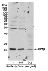 AP05722PU-N - CBX1
