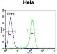 AP50087PU-N - Adenylate cyclase type 4